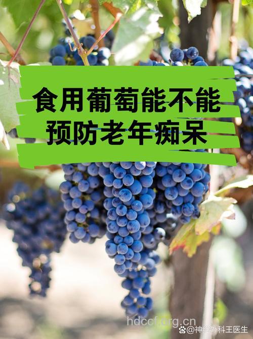 惊！葡萄可促进老年人睡眠