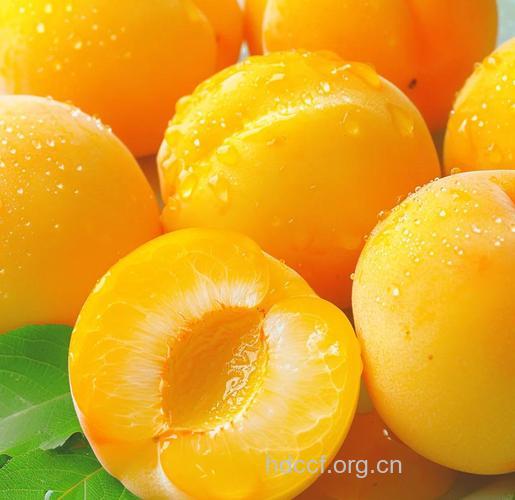 老年人宜多吃些“黄色水果”