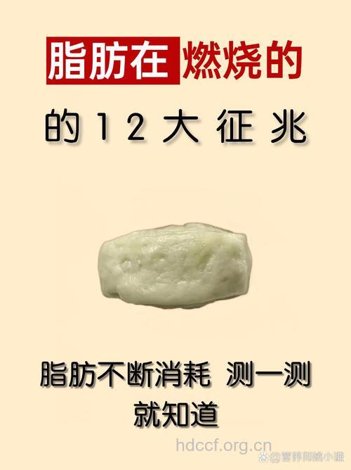辣椒霜保鲜膜减肥 脂肪真的在燃烧？