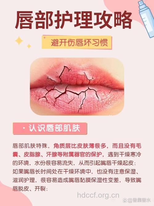 水嫩饱满 冬季娇唇护养全攻略
