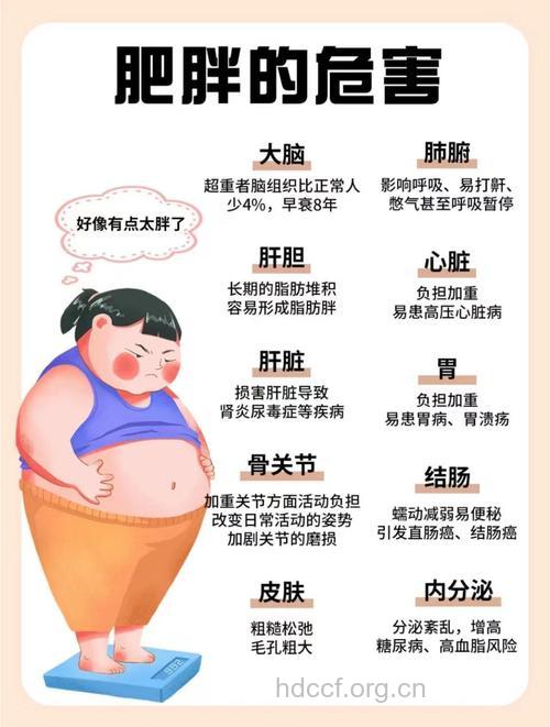 中国人有什么肥胖原因