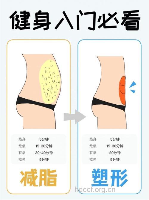 “塑身”和“减肥”有哪些区别