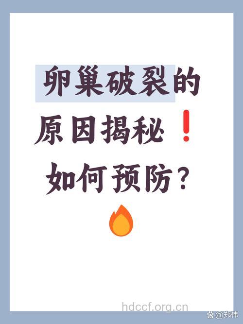减肥引起的卵巢破裂