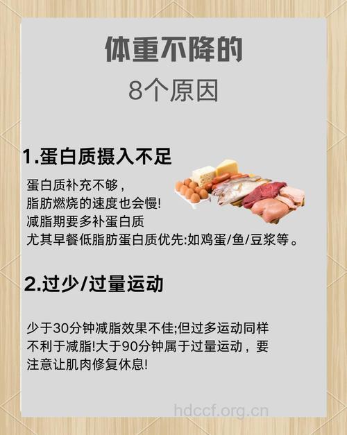 减肥期间体重减得慢是怎么回事