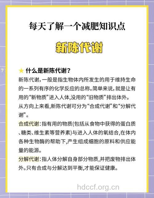 减肥关键是新陈代谢 这样做能加快新陈代谢