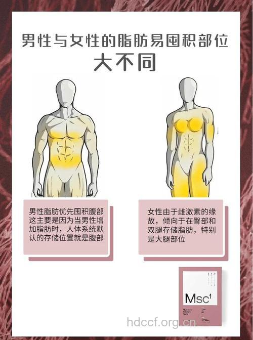 脂肪堆积部位不同 男女减肥方法也不同