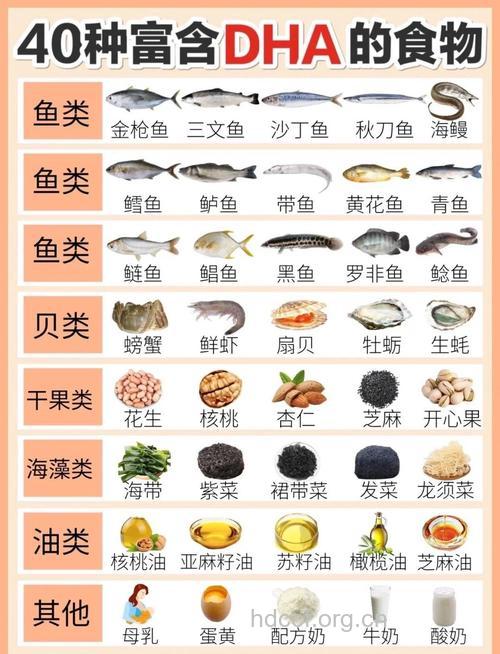 老人多吃哪些海产可以促进健康