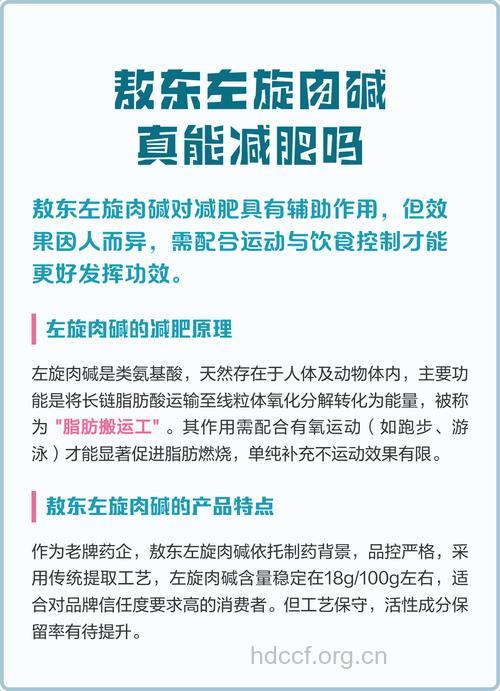 左旋肉碱减肥真的有效果吗
