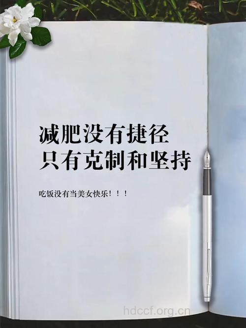 减肥别上无脂无糖的当