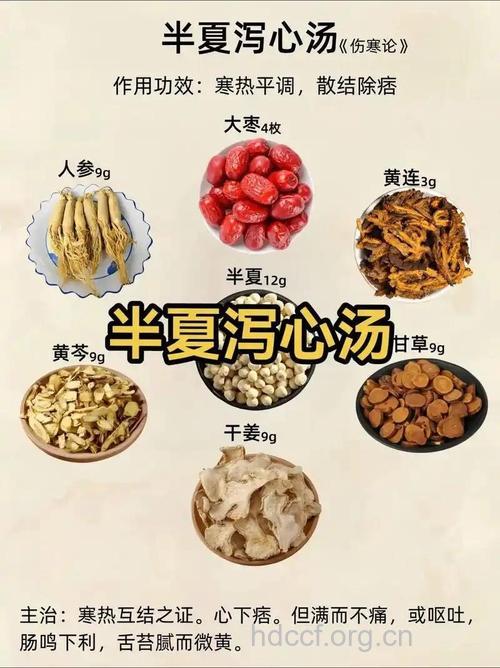 哪些药膳可应对老人腹泻