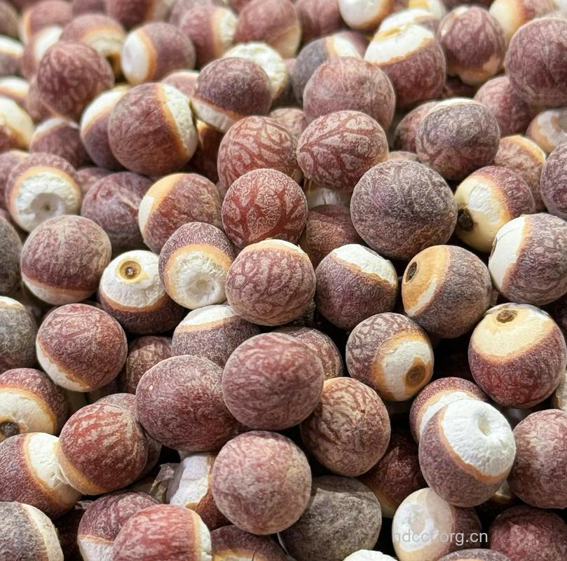 老人应“平补” 首选芡实