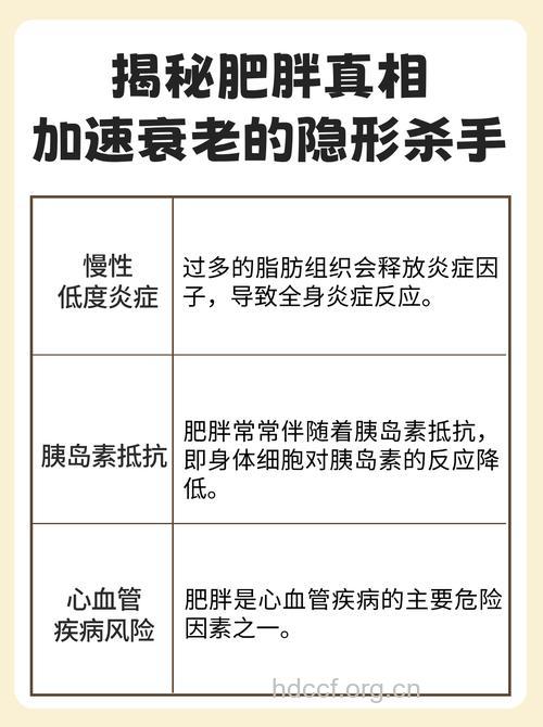 揭秘：让你变胖的隐形杀手