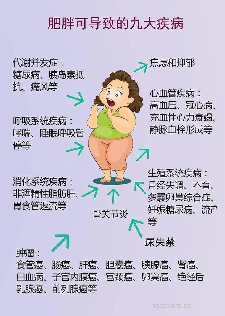 肥胖症的危害及预防方法