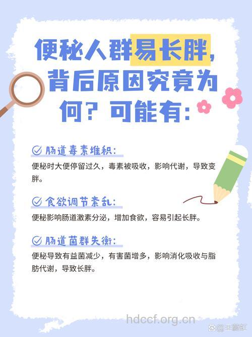 肥胖为什么容易便秘