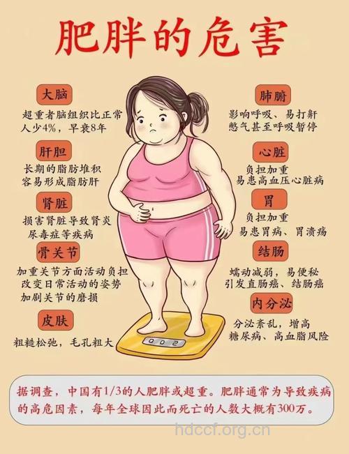 肥胖对夫妻双方有哪些影响