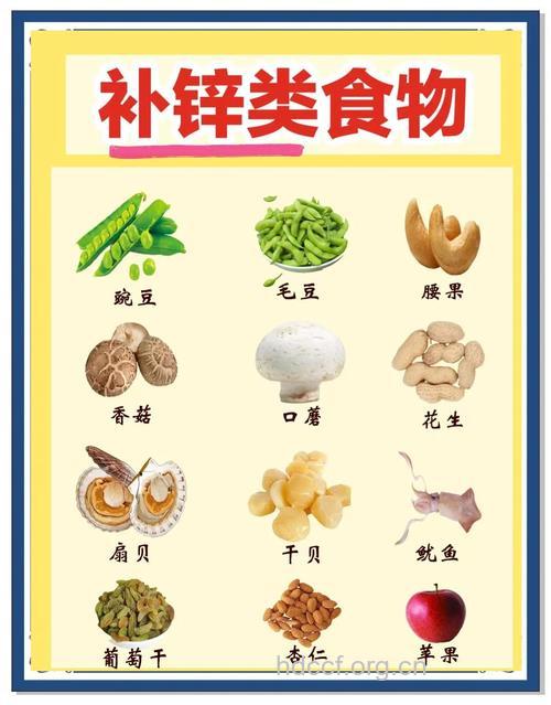 老年人日常要如何饮食补锌