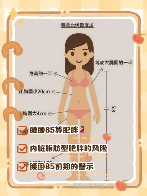 腰围过粗对女性有哪些危害