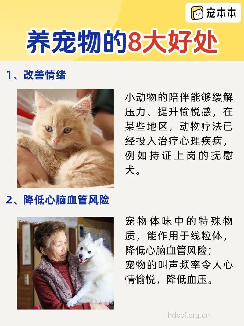 养宠物对空巢老年人有益无害