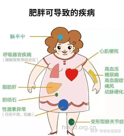 肥胖,痛风,糖尿病有哪些关系