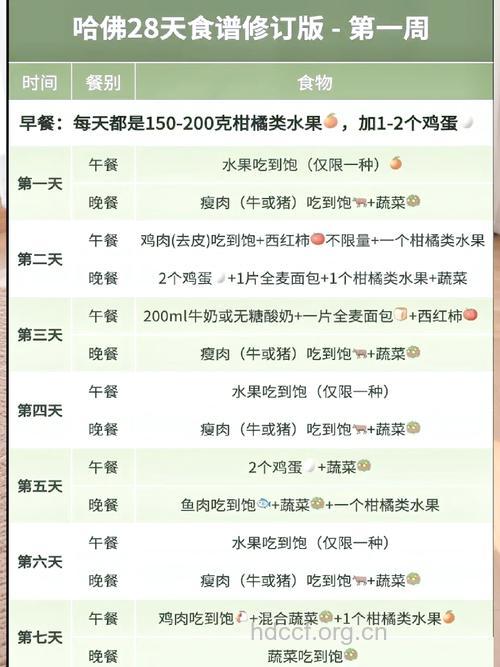 28天懒人减肥计划 瘦身方法大全