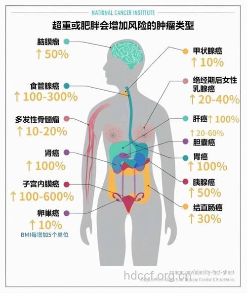肥胖与死亡有哪些关系