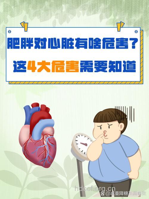肥胖会引发心脏疾病的危险