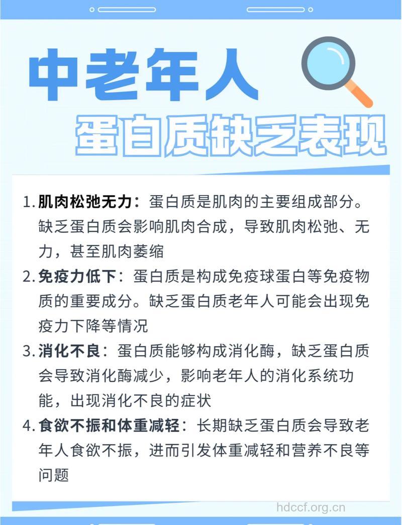 老年人怎样补充蛋白质