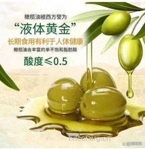 研究称多吃橄榄油可使老人中风危险降4成
