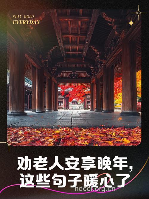 老人该如何化解悲痛安享晚年?