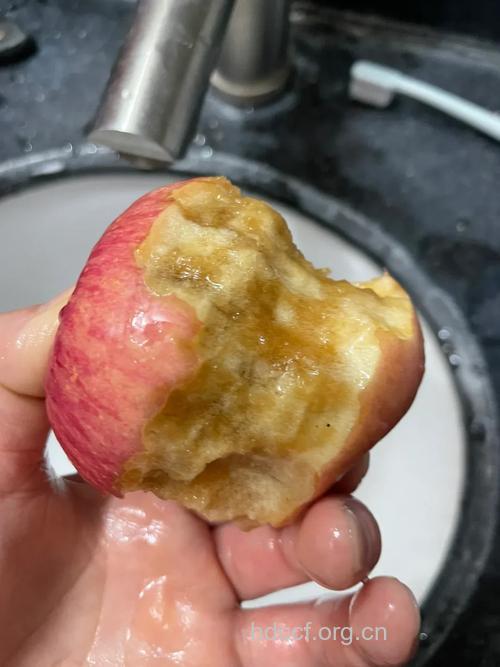 霉变的苹果不可削后再吃