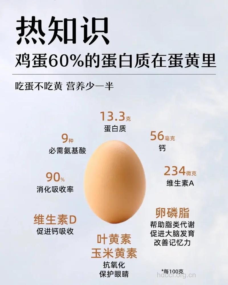 老人适当吃蛋有哪些好处