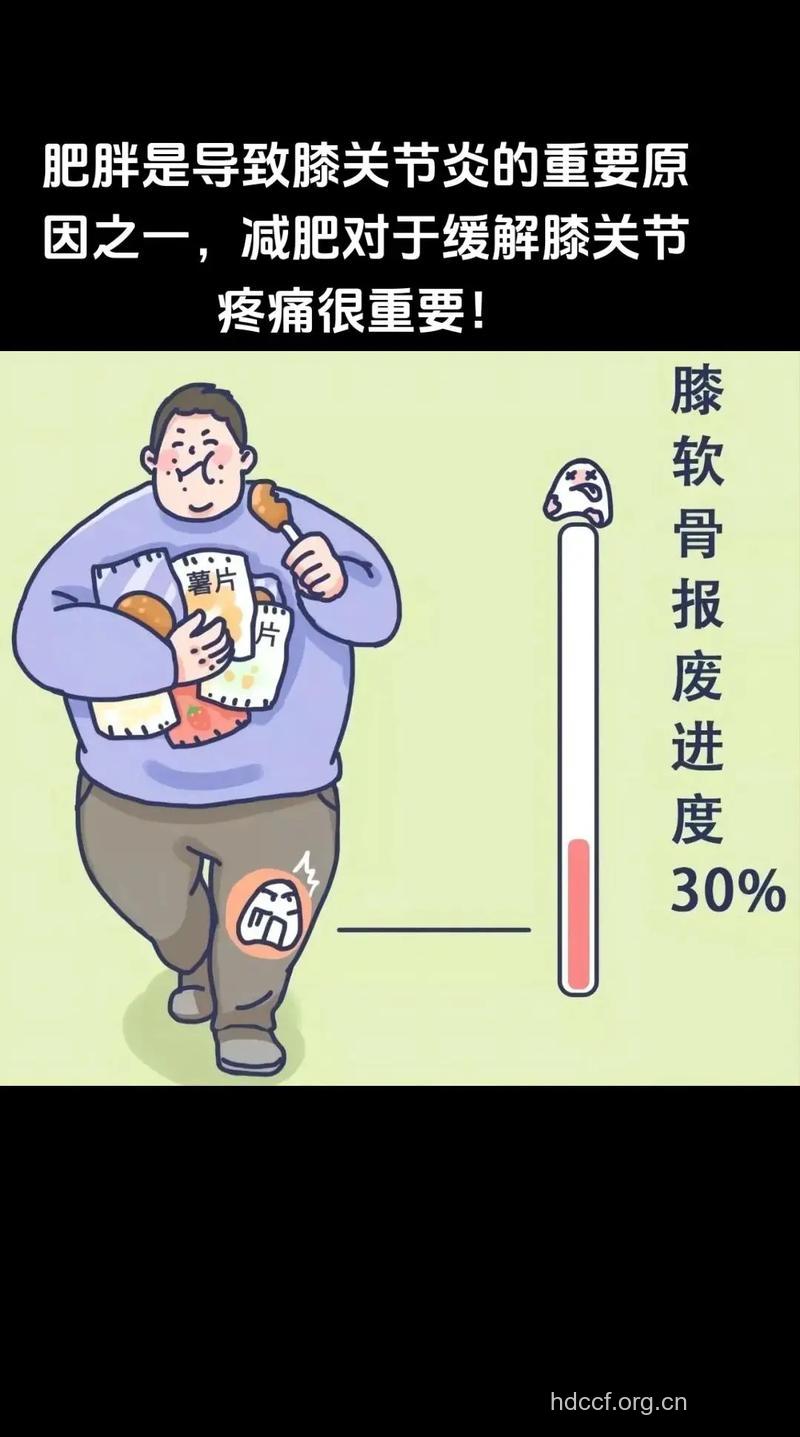 肥胖与关节炎的关系