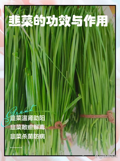 老年人吃韭菜有哪些好处