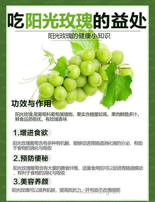 常吃葡萄有益老人健康