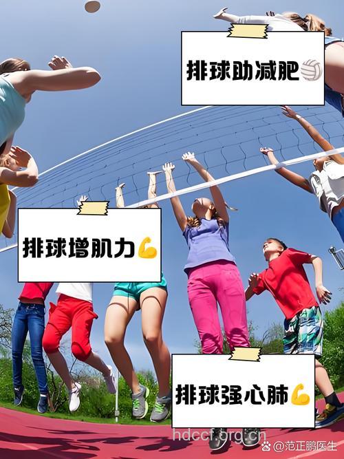 老年人锻炼软式排球有什么好处