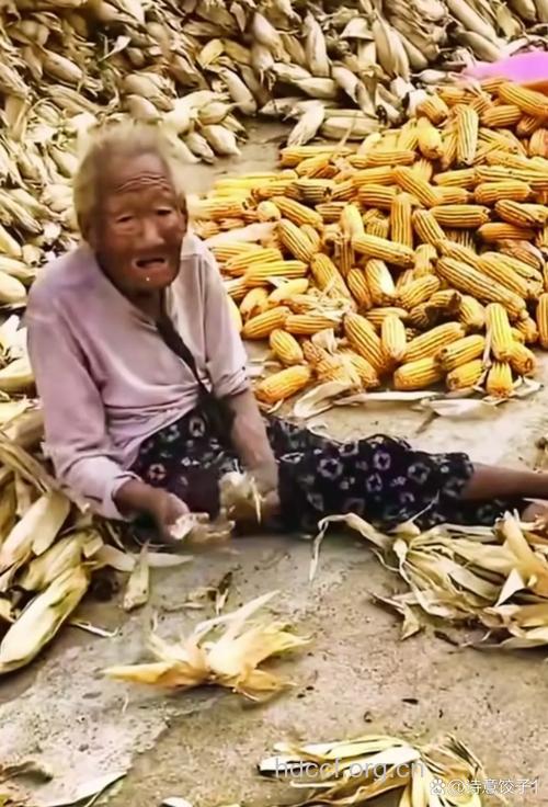 老人应多吃玉米 全身是宝