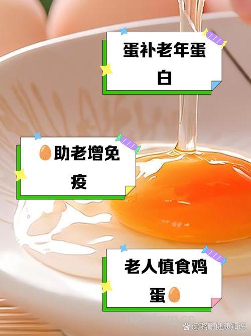 老人可以吃蛋黄吗