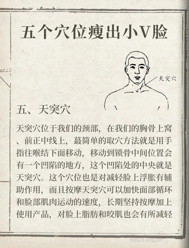 按摩什么穴位可以瘦脸呢