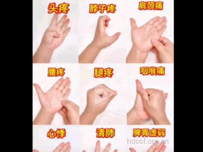 你知道常做手指操有利于老年人养生吗？