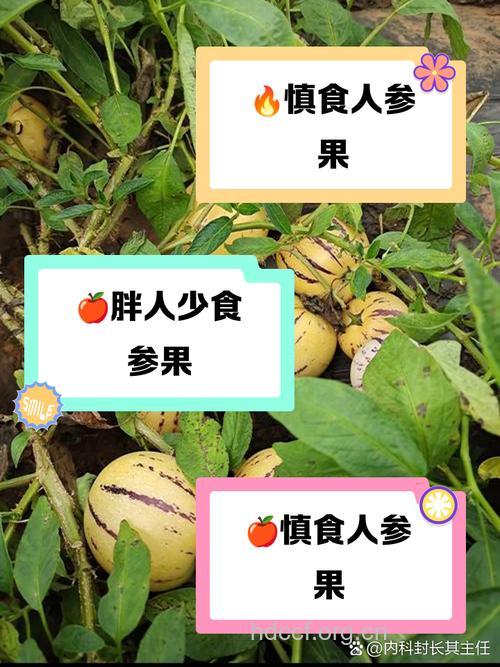 老年人不宜大量进食水果