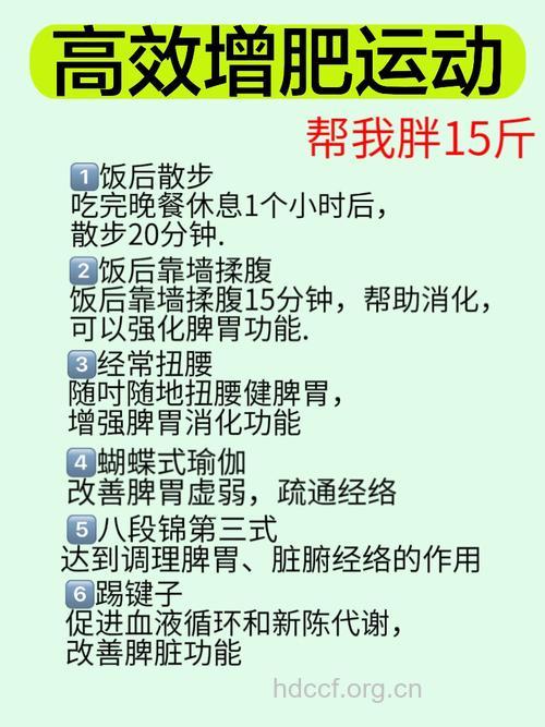 发胖的老年人健身大法全攻略