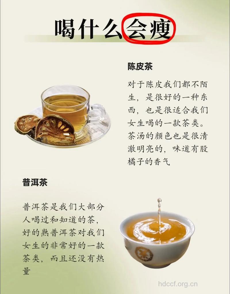 成功战胜肥胖的方法 常喝普洱茶