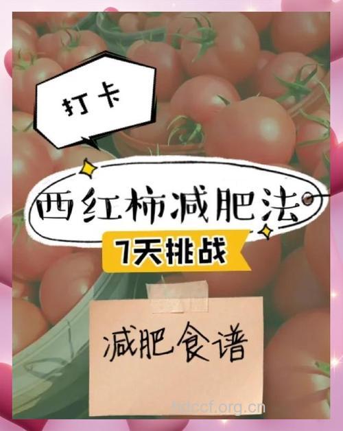 西红柿瘦身 7天减10斤