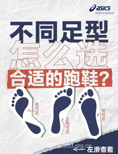 如何选好您的“第三只脚”