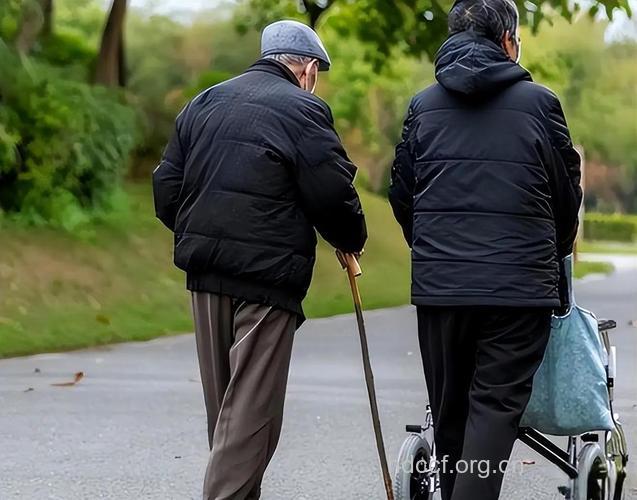 新产品：银发族早晚散步服