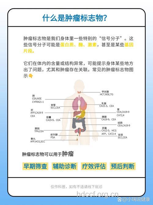 如何检测肝癌标志物