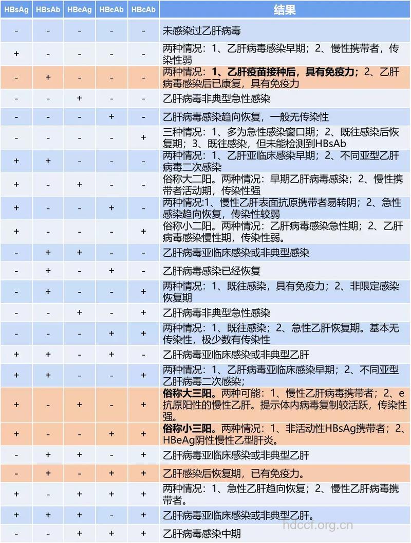 乙肝两对半是什么？