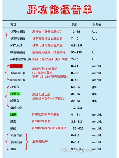 常规检查为什么包含肝功能