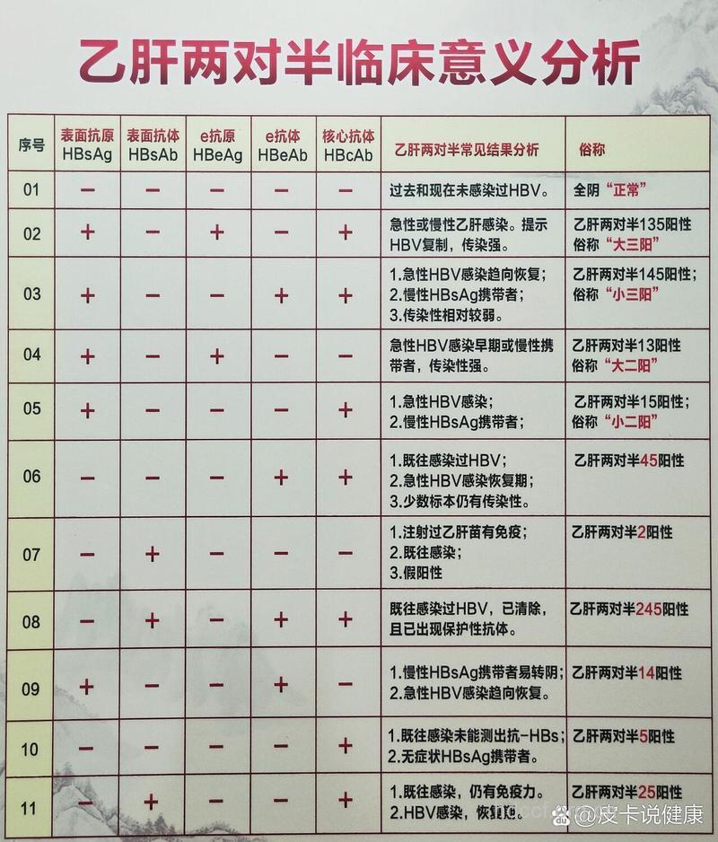 乙肝两对半各项指标的含义