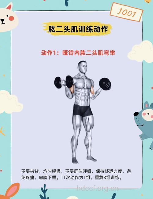 6招教你锻炼肱二头肌